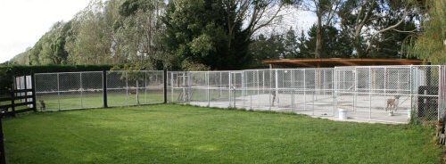 Quasar Kennels