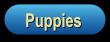 Puppies